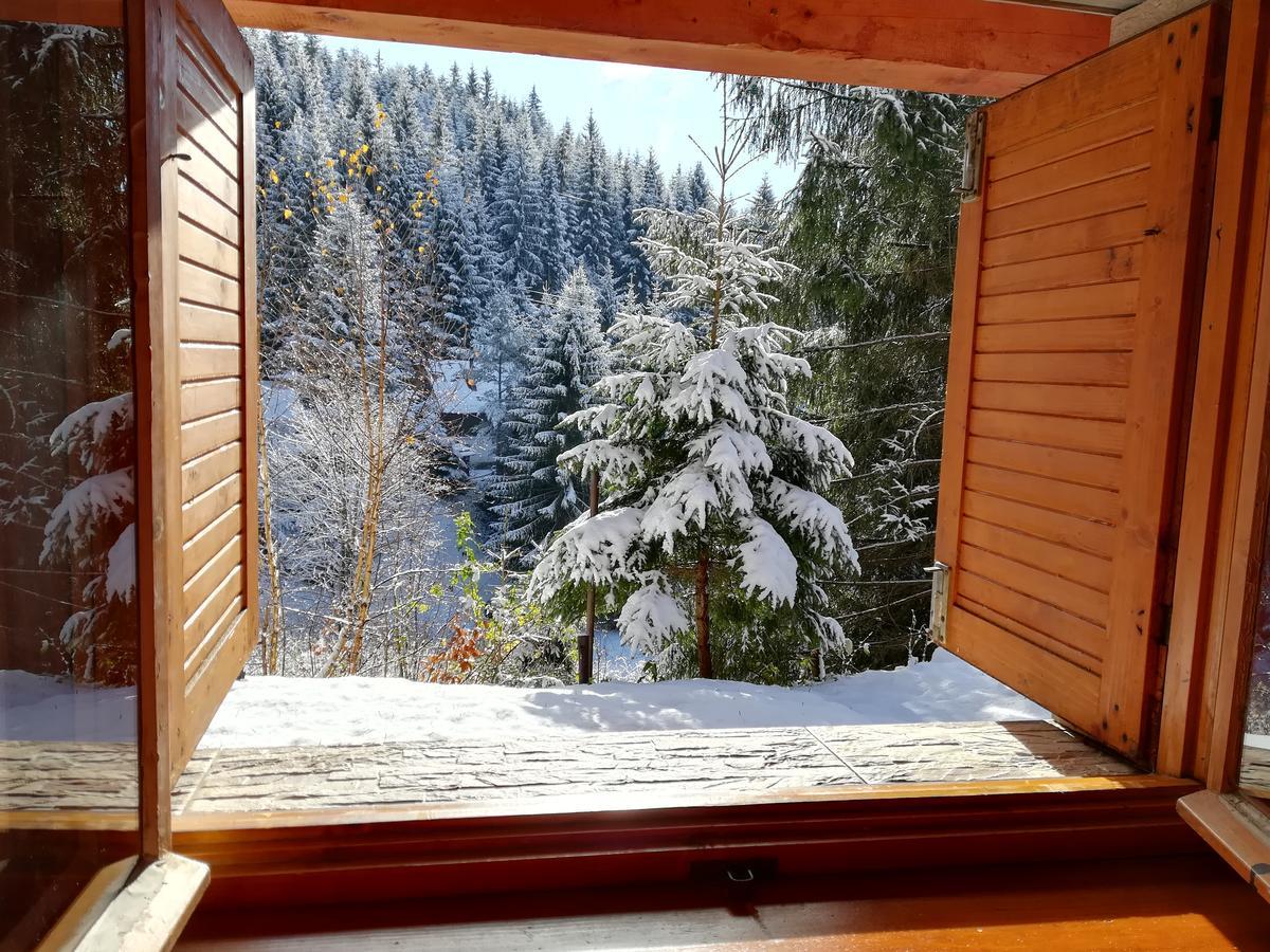 Chata Safran Donovaly Buitenkant foto