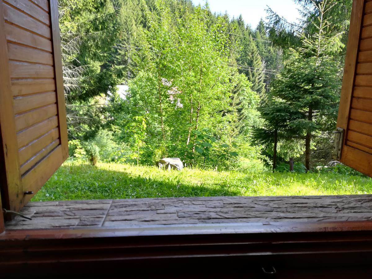 Chata Safran Donovaly Buitenkant foto